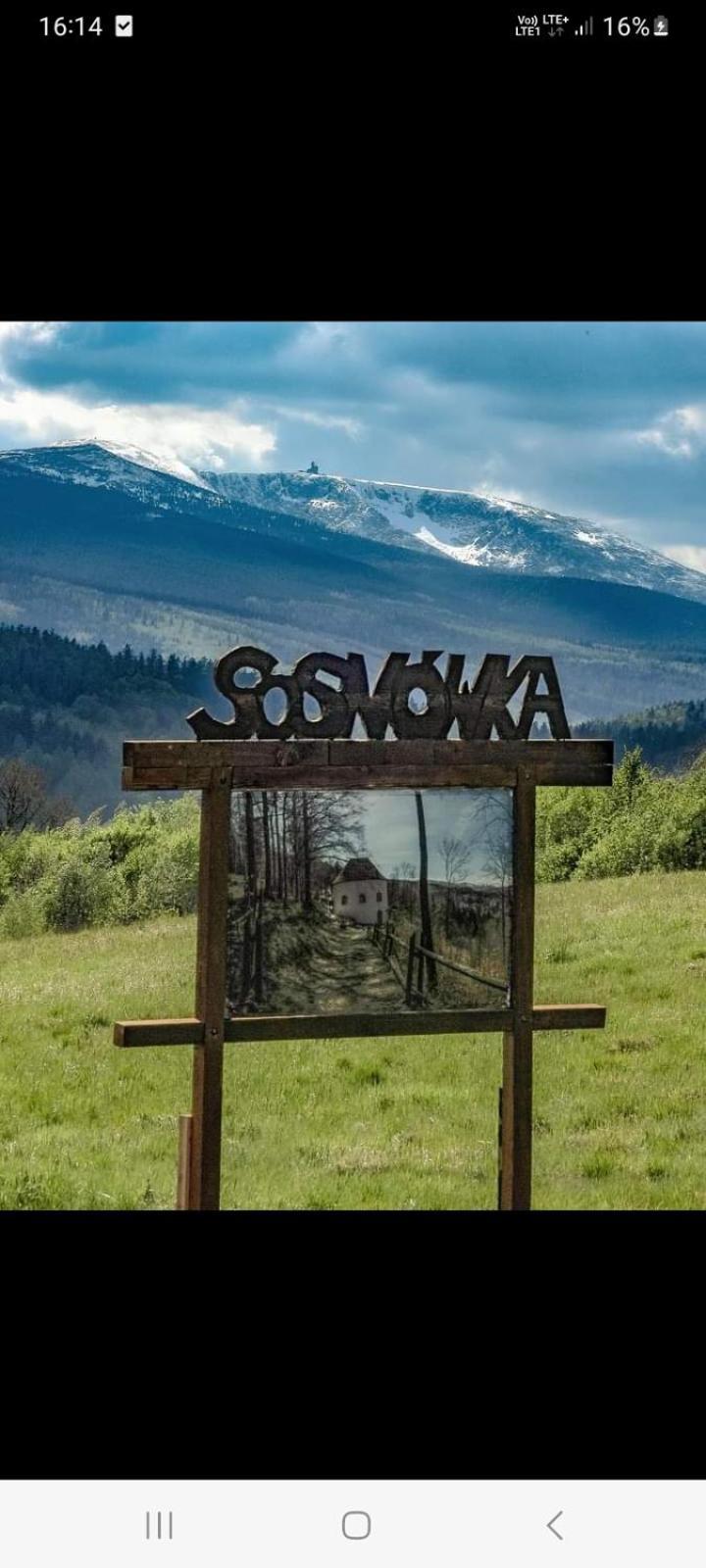 Apartament Laba Sosnówka Exteriör bild